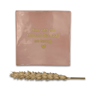 Tegeltje 'Hou van jou tot aan de maan en terug.'